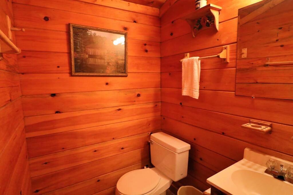 הלן Mountain Cabin 2B Jacuzzi #10 מראה חיצוני תמונה